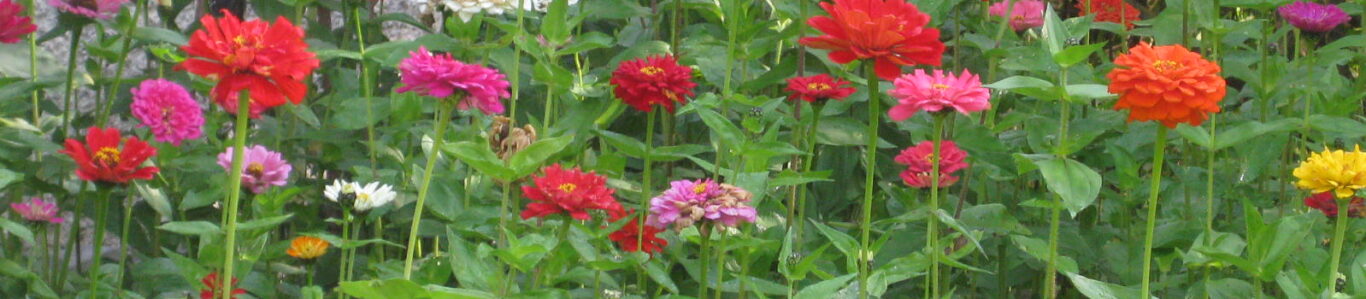 Ergotherapiepraxis Cornelia Memmel